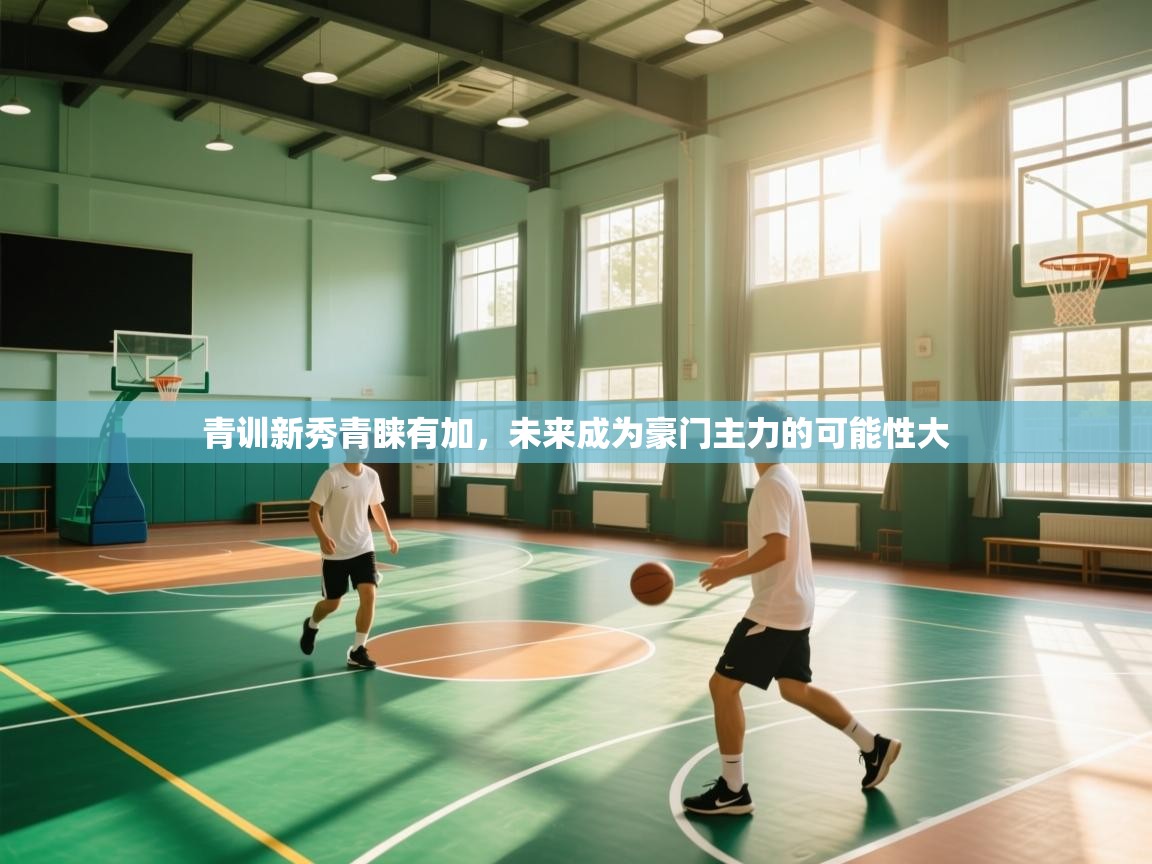 青训新秀青睐有加，未来成为豪门主力的可能性大  第1张