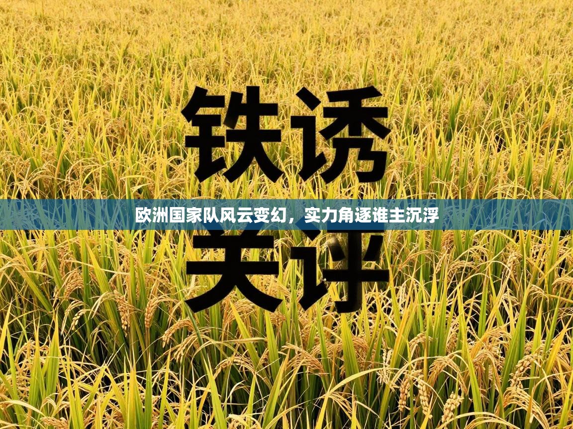 欧洲国家队风云变幻，实力角逐谁主沉浮  第1张